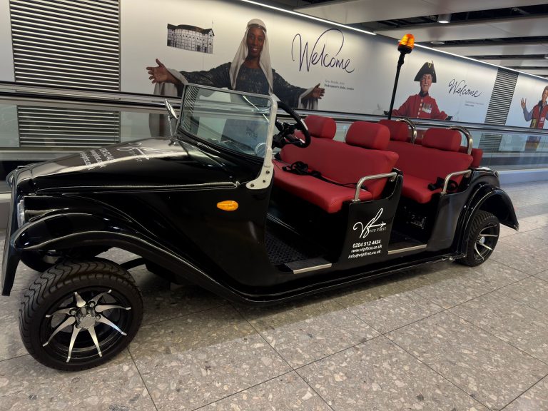 buggy 2 1
